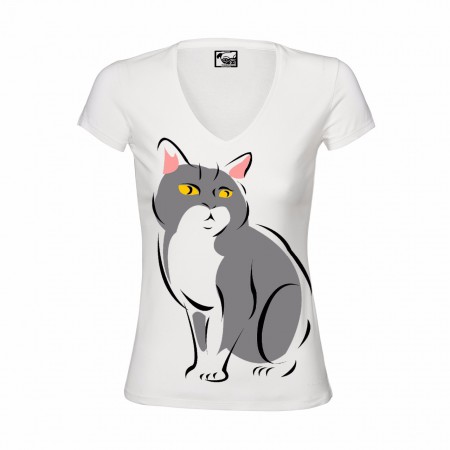 /products/gato01/